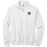 NY Stars NuBlend 1/4-Zip Cadet Collar Sweatshirt