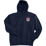 Knights Youth Football Ultimate Cotton - Pullover Hooded Sweatshirt